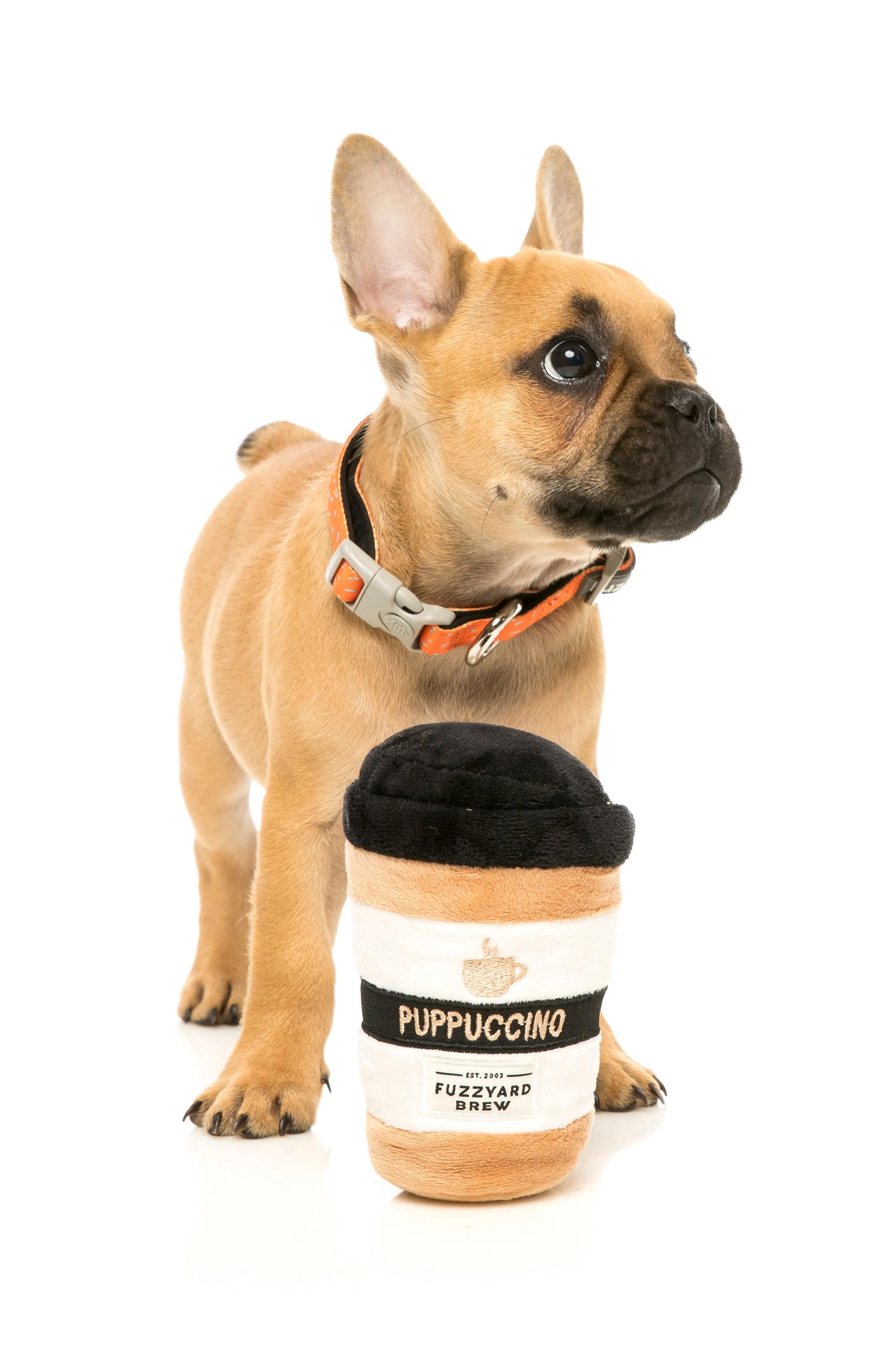 FuzzYard Take Away Coffee Dog Toy