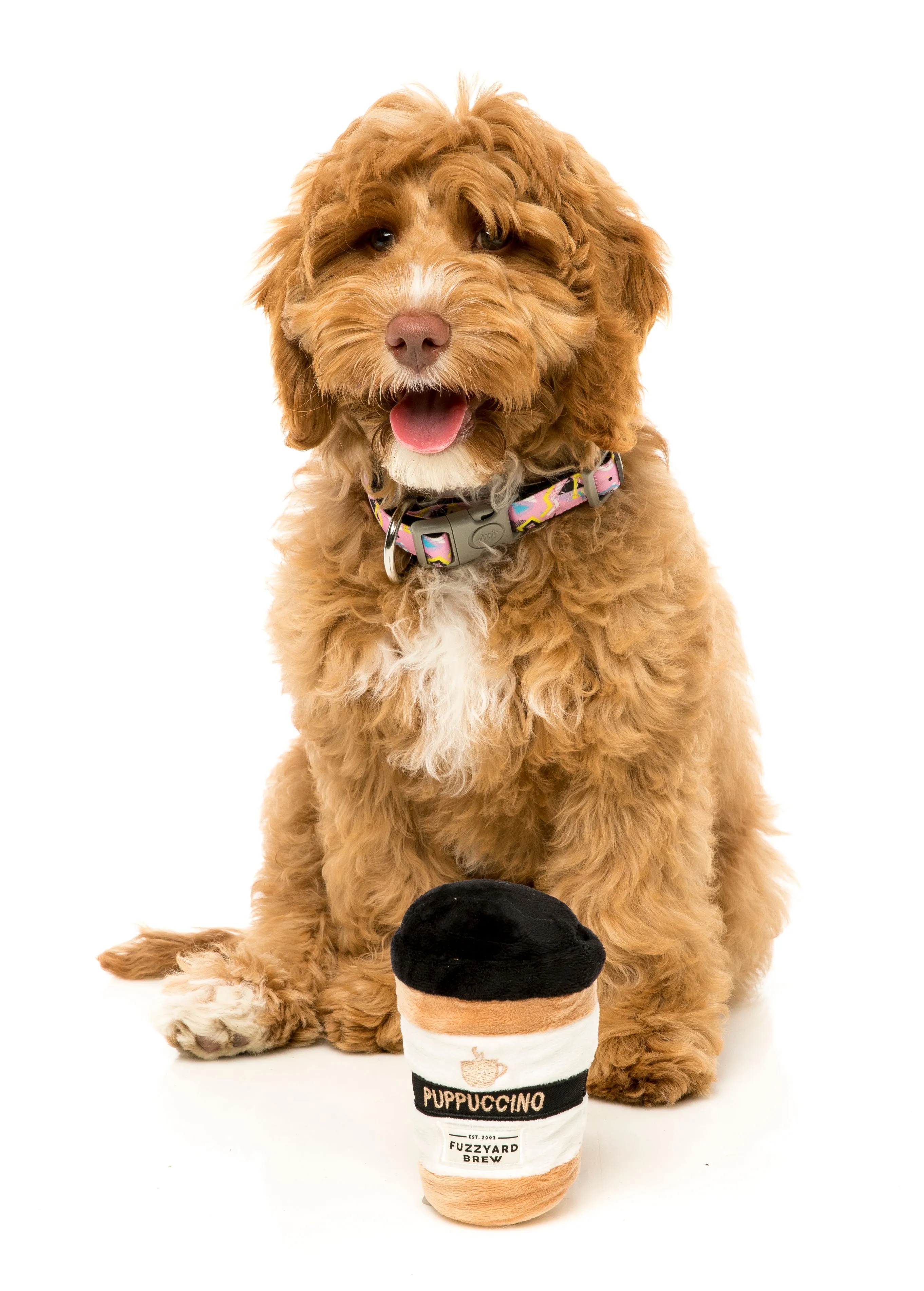 FuzzYard Take Away Coffee Dog Toy