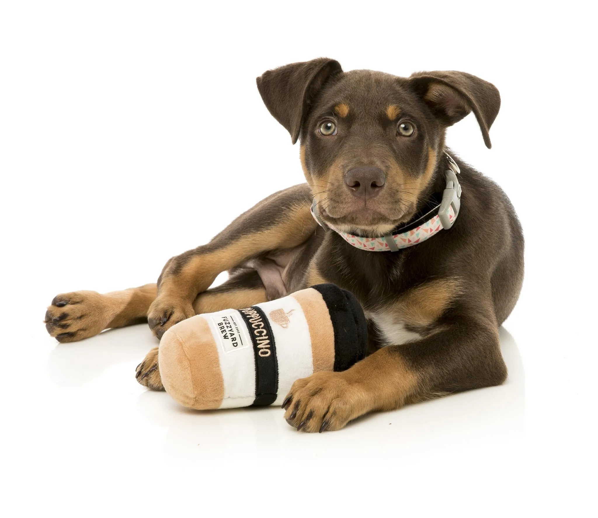 FuzzYard Take Away Coffee Dog Toy