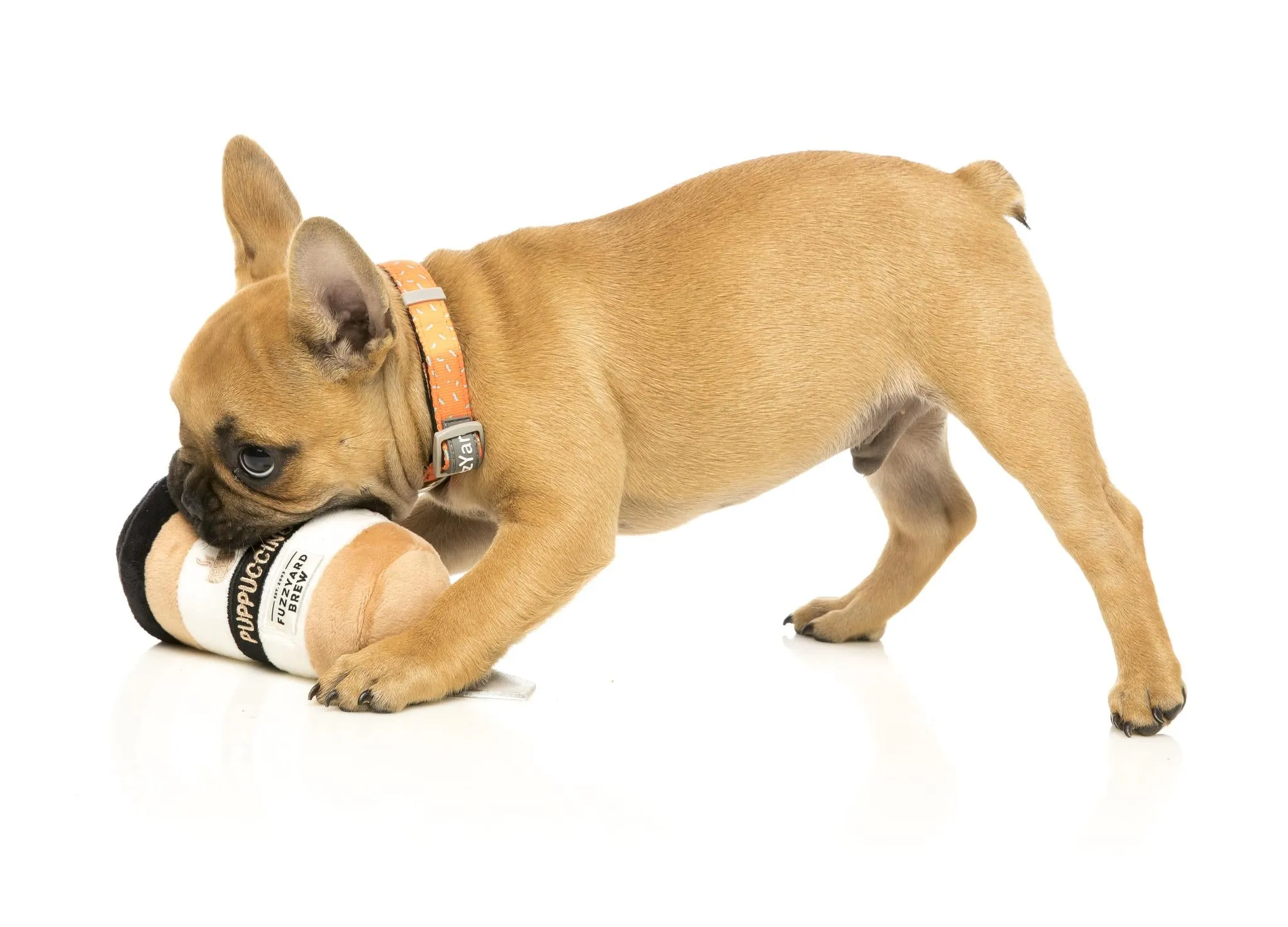 FuzzYard Take Away Coffee Dog Toy