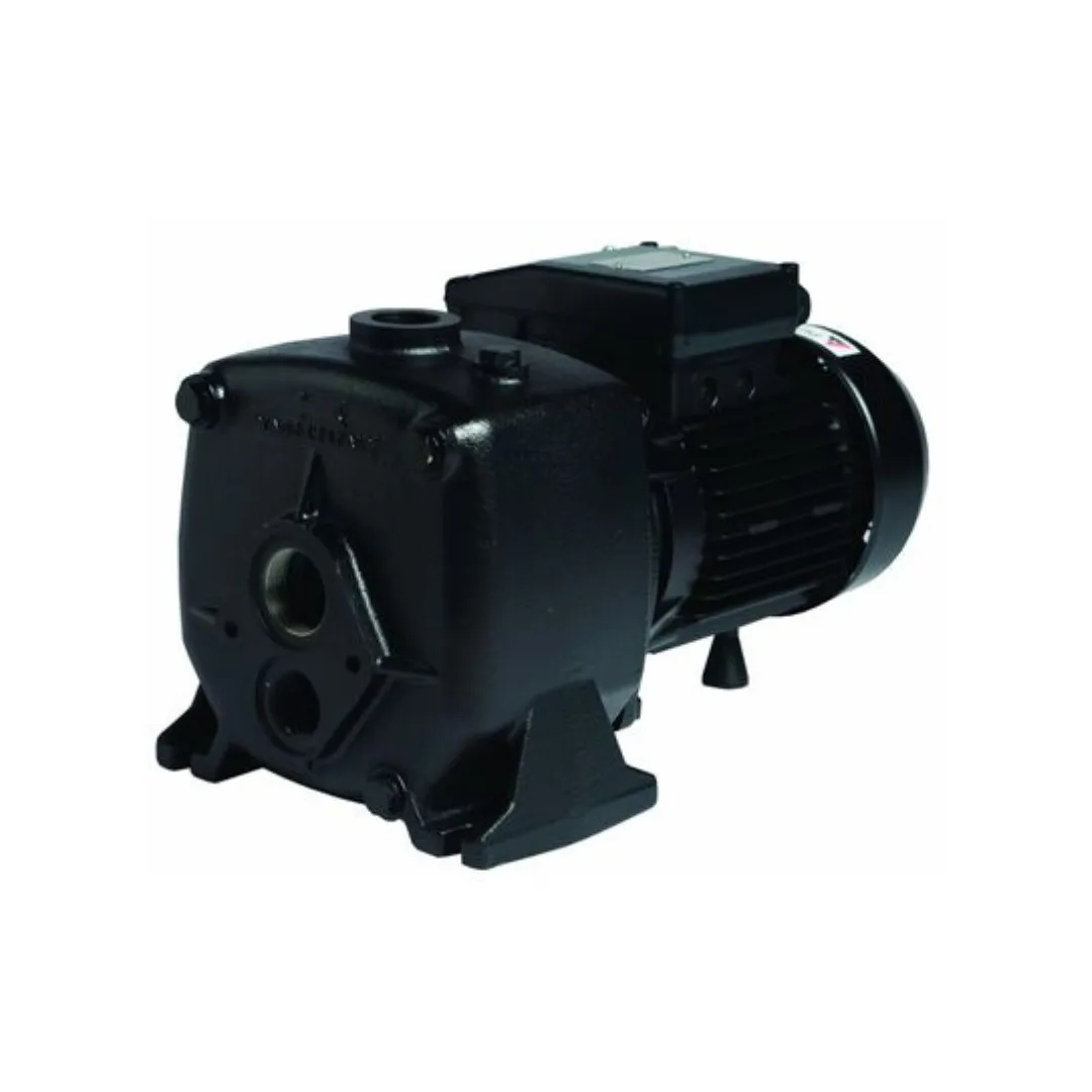 Pumpmaster CTA200 1.5kw Cast Iron Quick Plug Deep Well Jet Pump