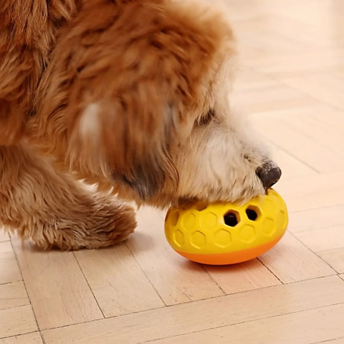 Tall Tails Dog Toy Natural Rubber Bee Hive
