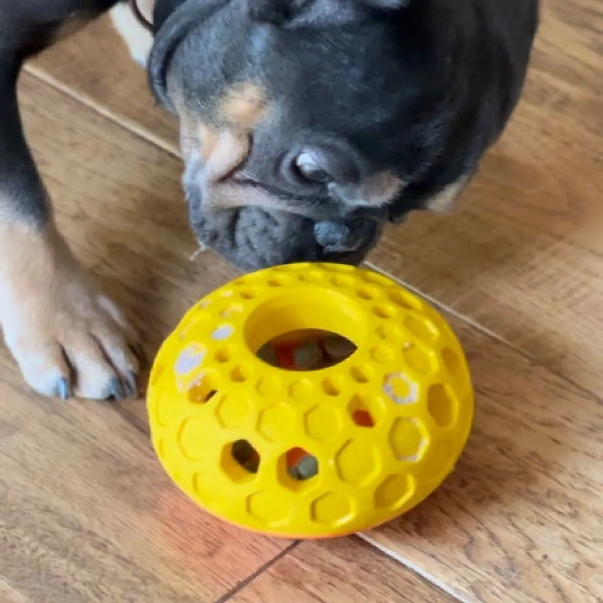 Tall Tails Dog Toy Natural Rubber Bee Hive